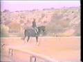 Cowboys dream-Cowgirls dream-Sweet Dreams Flecitias-Tribute to Flecitias & Enya