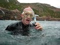 Diving in Portlet - Jersey - Channel Islands Diving in Portlet - Jersey - Channel Islands