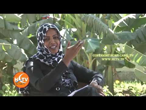 Barnaamijka Fanka Iyo Suugaanta Martida Cali Dhaanto By Nimco Samriye HD