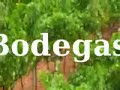Viñedos y Bodegas Vegalfaro