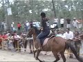 Picanços de cavalo