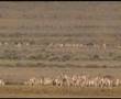 Kazakhstan - Undiscovered, Untouched, Unforgettable