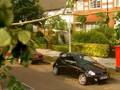 Ford Sportka