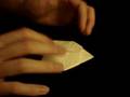 Origami Turtle