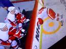 A funny glitch in nhl 2006