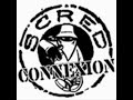 Scred connexion - le bonheur Scred connexion - le bonheur