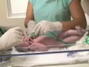 Nascimento Luiza Scuccuglia Nascimento Luiza Scuccuglia