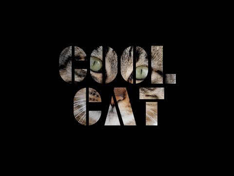 how to patch illustrator cs5