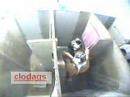 video chistoso  