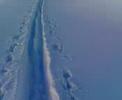 descente