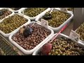 Market in Aix
