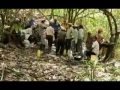 Resistencia y Colectivismo en los Convites Campesinos de San Cristóbal,