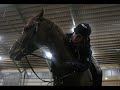 Maibach & Rosablowjob