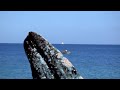 New Newfoundland Tourism Commercial