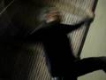 videos de Lucas fait la roue 2
