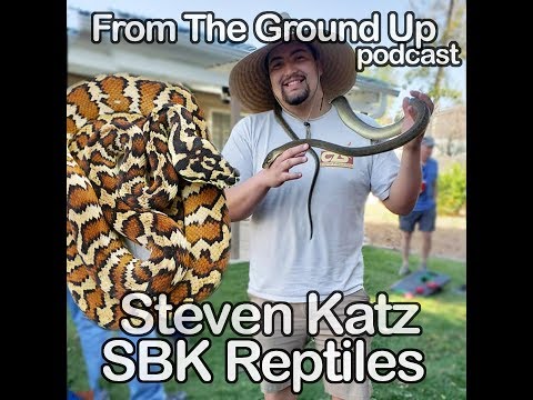 YouTube reptile video