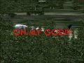 FS2004 My 1000th Channelview in Youtube