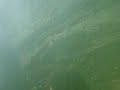 conseil-beaute-au-chute.html
