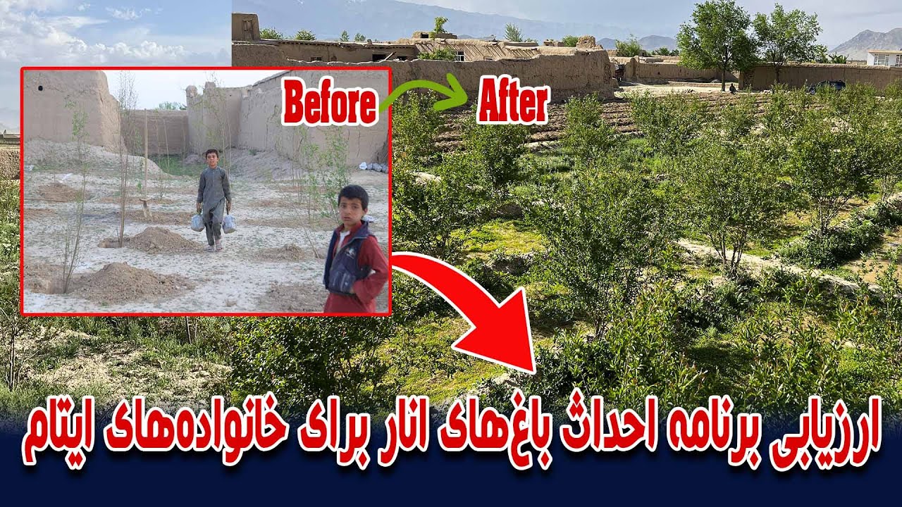 ارزیابی از برنامه احداث باغ‌های انار برای خانواده‌های ایتام