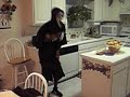 Sream Dance