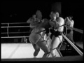 brzi, combat, mike, sports, trening, tyson, ?ampijon