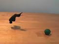 flying clay flying clay