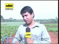 Recomendaciones de Buenas Pr�cticas Agr�colas