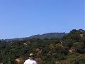 Remote Control TREX-600 Helicopter maneuvers SV #2