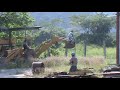 honduras_mal uso de maquinaria de construccion