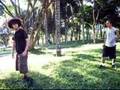 merdas da vida - war zone