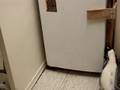 videos de Gherkin tries the fridge, again.