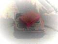videos de Just For Fun