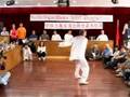 Double Dragon Alliance Masters from China