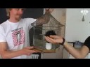 OTV Cribs: MeloManics