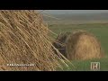 Biomass Biofuel Ethanol Alternative Energy