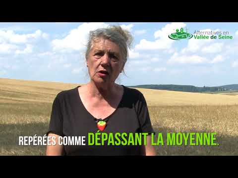 Image de prévisualisation YouTube