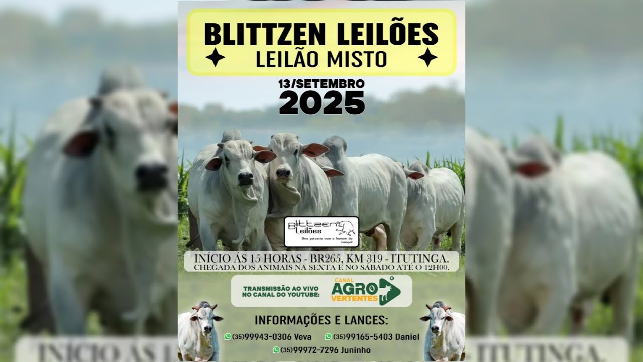 LEILÃO MISTO BLITTZEN LEILÕES - 13/09/2025