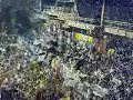 GROBARI (pionir)
