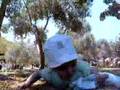 videos de Naomi at the Zoo
