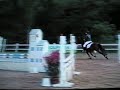 Concours cheval Concours cheval