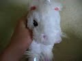 Re: Retired Webkinz Club