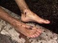 La Pisada, El Hierro, 1996