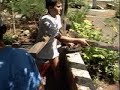 La Pisada, El Hierro, 1996