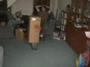 THE BOX