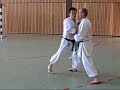 Yamaguchi-sensei demonstrating gyakuzuki with partner