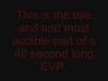 Trans Allegheny Asylum EVPs