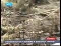 KΤΑΠΕΛΤΗΣ ΤΟ ΒΟΥΛΕΥΜΑ ΓΙΑ ΤΟΥΣ 27