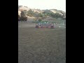 Trinityeventing- Set Sail
