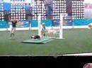 Dog Show I