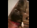 Maggie